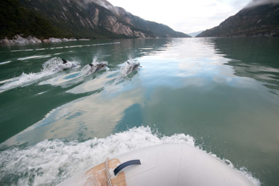Ski Patagonia - Chilean Fjords